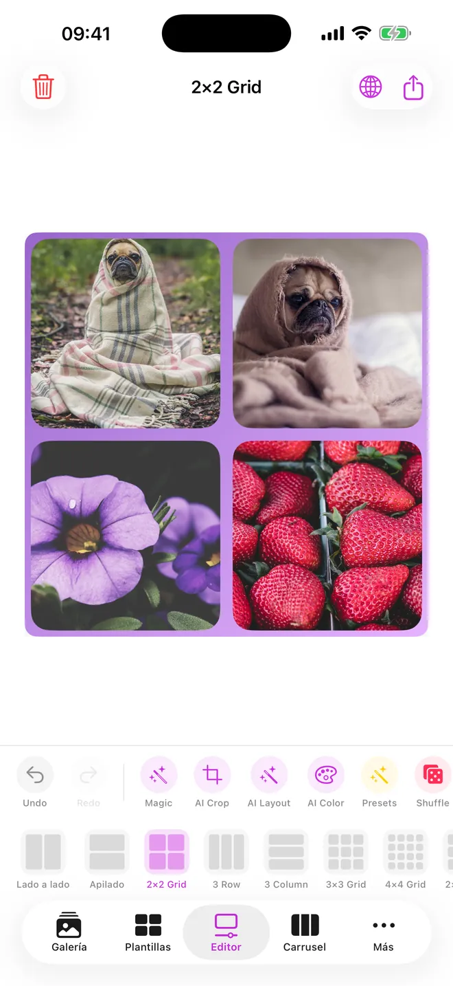 Captura de pantalla 1 de CollageCraft